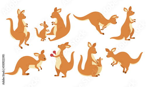 Cartoon kangaroo mascot. Jumping Australian animals  kangaroos in different poses vector set