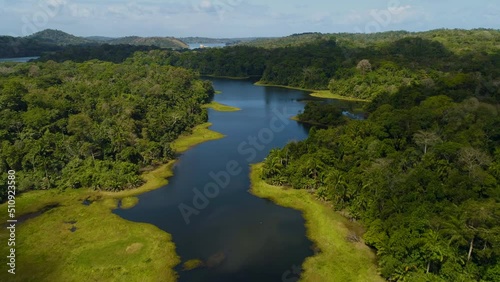 Tropical Rainforest aerial shot, Soberania National Park, Panama Canal, Panama - stock video