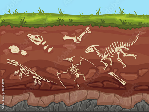 Soil layers with fossils. Ground layers with dinosaur bones and fossil skeletons, paleontology excavations cartoon vector illustration