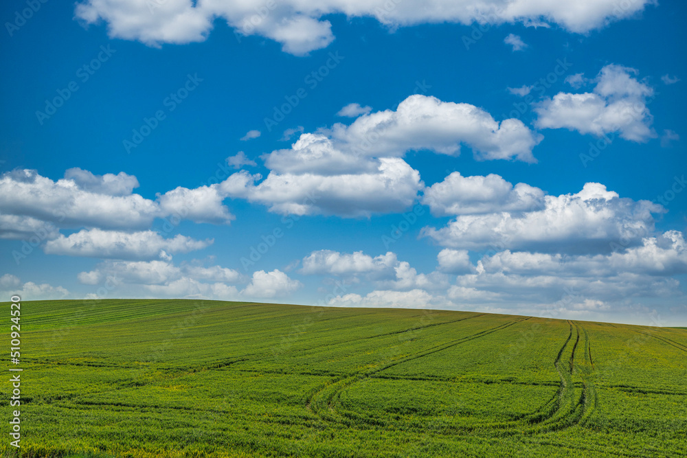 Happy blue sky, horizon and farm fields. Tranquil spring summer nature landscape. Idyllic agriculture hill green meadow. Peaceful positive energy, good mood sunny rural. Relaxing peaceful countryside
