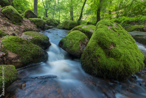 cascade de Brisecou en Bourgogne dans la forêt près d'Autun au printemps