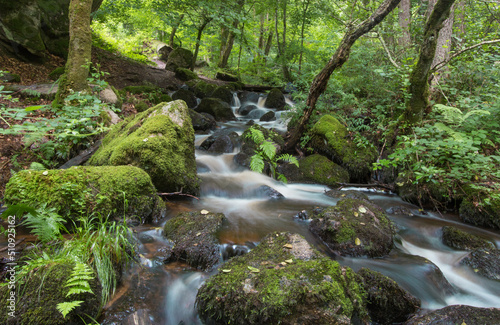 cascade de Brisecou en Bourgogne dans la forêt près d'Autun au printemps