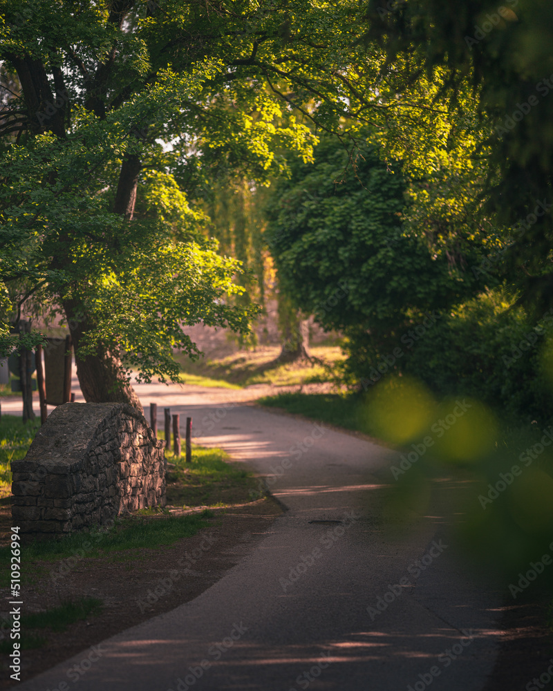 Obraz premium Nice road with stone bridge in the upper lands of Balaton, Vászoly, Hungary