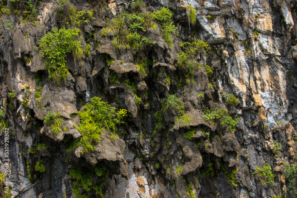 nature photograph of an impressive rock formation full of plants on the side of the li river in the guilin region of china that could be used as a wallpaper nature photograph of an impressive rock formation full of plants on the side of the li river in the guilin region of china that could be used as a wallpaper