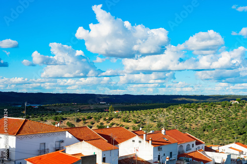 landscape village olives cl...