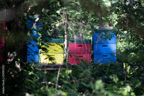 Bunte Bienenstöcke im Wald