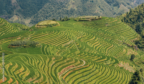 Panoramic landscape photography of the Longji Rice Terraces located in Longsheng County, near Guilin, Guangxi, China.