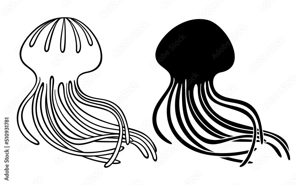 Jellyfish. Line and silhouette of sea jelly. Vector illustration isolated on white background. Jellyfish. Line and silhouette of sea jelly. Vector illustration isolated on white background.
