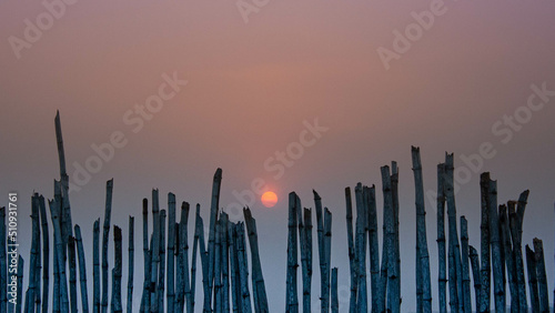 Coucher de soleil sur une barri  re de bambou    Lom    au Togo  Afrique de l ouest