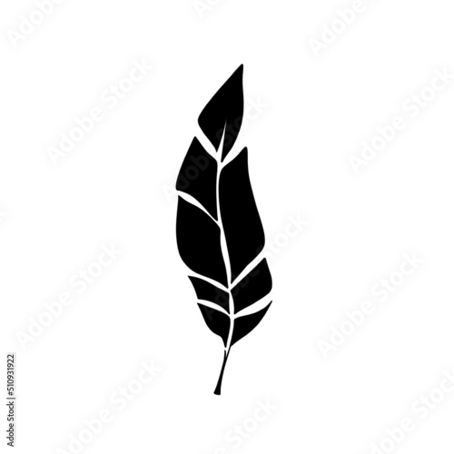 feather silhouette pattern