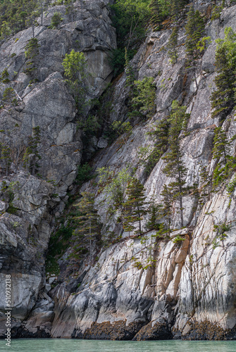 Skagway, Alaska, USA - July 20, 2011: Taiya Inlet above Chilkoot Inlet. Portrait, Green trees climb upon tall gray rocky cliff with green ocean water at bottom.