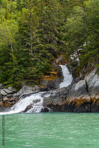 Skagway  Alaska  USA - July 20  2011  Taiya Inlet above Chilkoot Inlet. Portrait of last 10 meters of waterfall reaching green ocean water surfing over brown-gray rocks cutting through green foliage