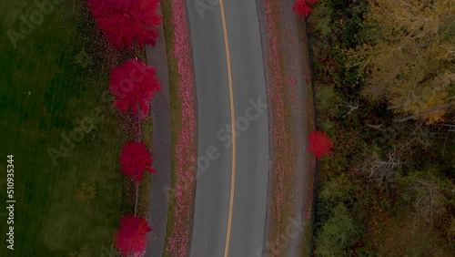Aerial view of a street with red trees