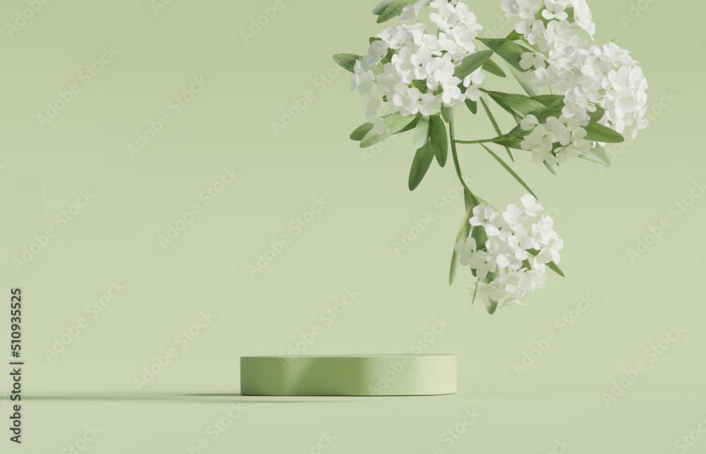Obraz premium 3D display podium pastel green background. White flower with leaf. Nature Blossom minimal pedestal for beauty, cosmetic product presentation. Summer and spring Feminine copy space template 3d render