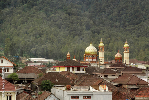 Mosque around houses with forest as background