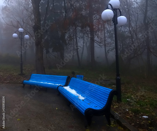 A a lonely walk in the autumn park. An alley shrouded in thick fog, empty park benches and deadening silence evoke a sad mood photo