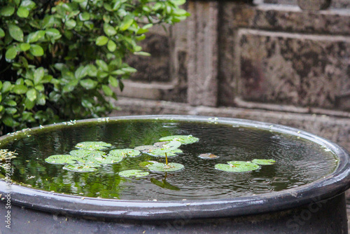 traditional chinese fountain with water lilies in a garden in china.