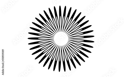 isolated on white background isolated on black frame circle vector flower star burst