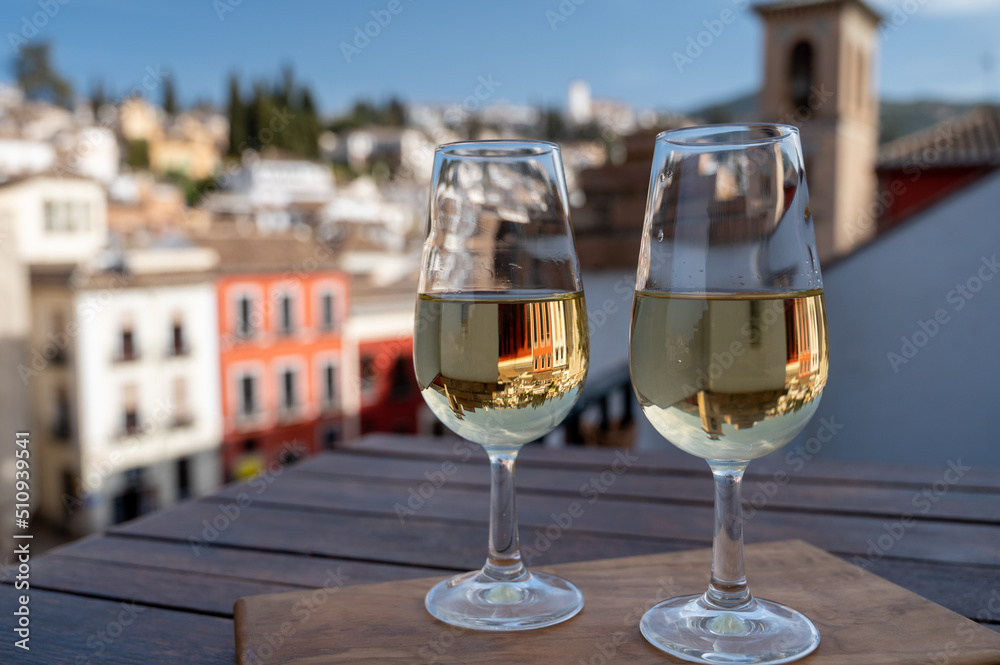Tasting of sweet and dry fortified Vino de Jerez sherry wine with view on roofs and houses of old andalusian town Tasting of sweet and dry fortified Vino de Jerez sherry wine with view on roofs and houses of old andalusian town