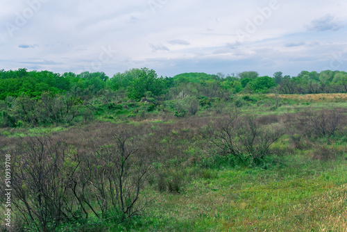 forest-steppe landscape in the Caspian lowland