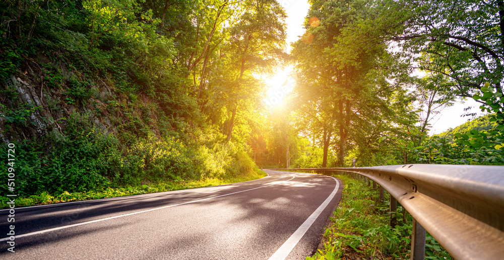 highway into Silent Forest in spring with beautiful bright sun rays