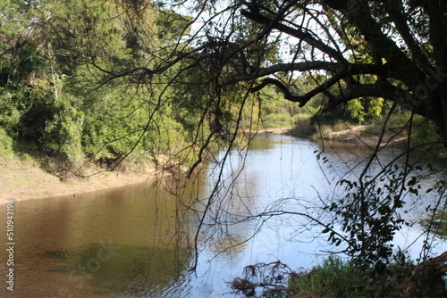 Colonia Benites, Chaco, Argentina. Naturaleza exuberante.