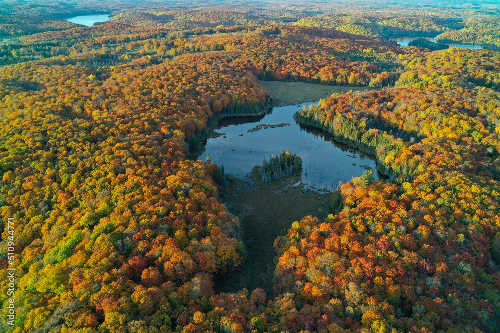 Aerial shot of Lakes, ponds & forests in autumn