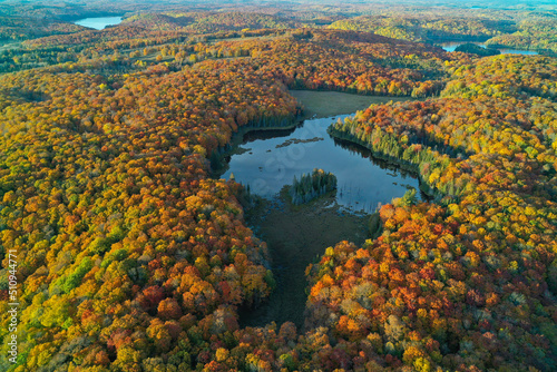 Aerial shot of Lakes, ponds & forests in autumn © Matt