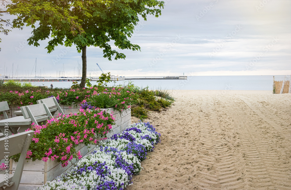 Naklejka premium Cloudy morning on the shore of the Baltic Sea 