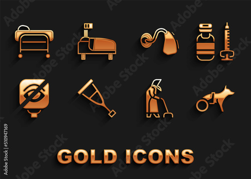 Set Crutch or crutches, Syringe, Dog wheelchair, Grandmother, Blindness, Hearing aid, Stretcher and Hospital bed icon. Vector