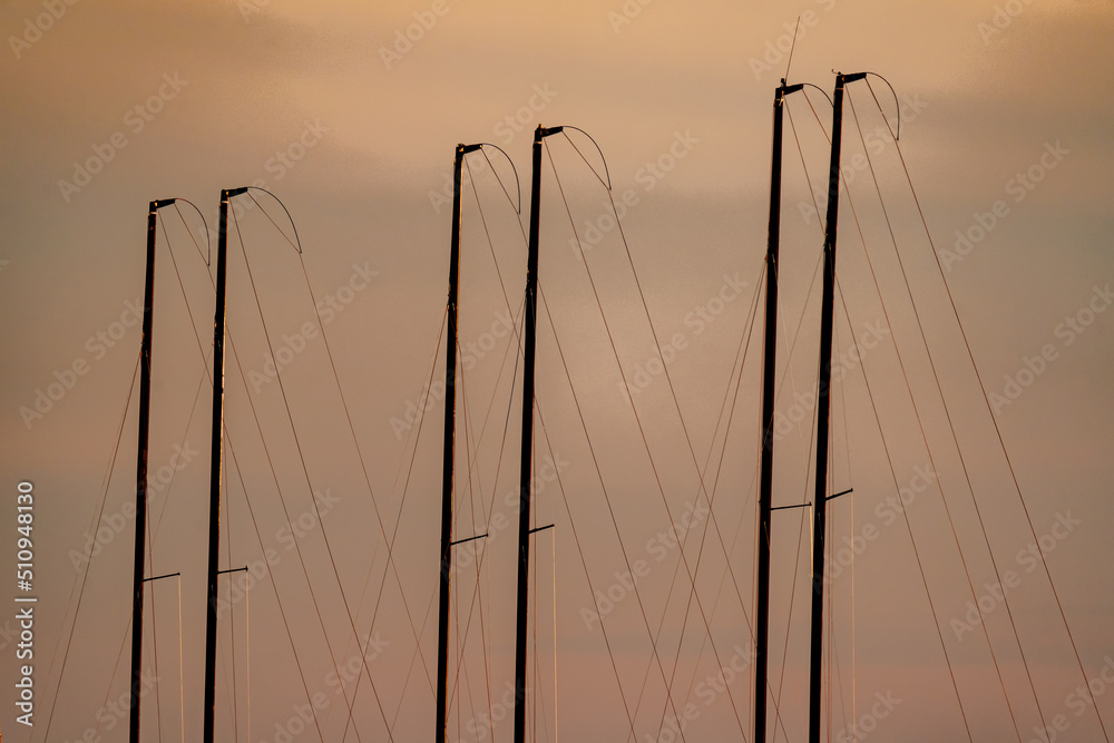 Fototapeta premium Tops of a few masts of sailing yachts parked in port at sunset