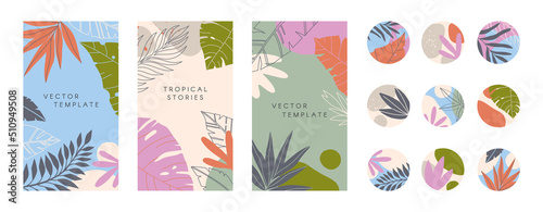 Summer insta story templates and highlights covers.Vector layouts with various shapes and tropical leaves.Abstract backgrounds.Trendy design for social media marketing.Social media kit