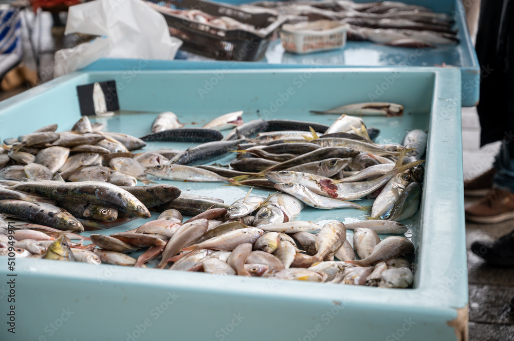 Catch of the day for sale on daily fish market in old port of Marseille, Provence, France Catch of the day for sale on daily fish market in old port of Marseille, Provence, France