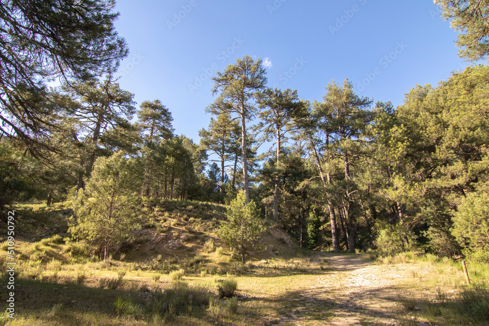 Trails with wonderful views of the Sierra De Cazorla, Spain. Nature tourism concept. Trails with wonderful views of the Sierra De Cazorla, Spain. Nature tourism concept.