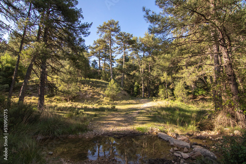 Trails with wonderful views of the Sierra De Cazorla  Spain. Nature tourism concept.