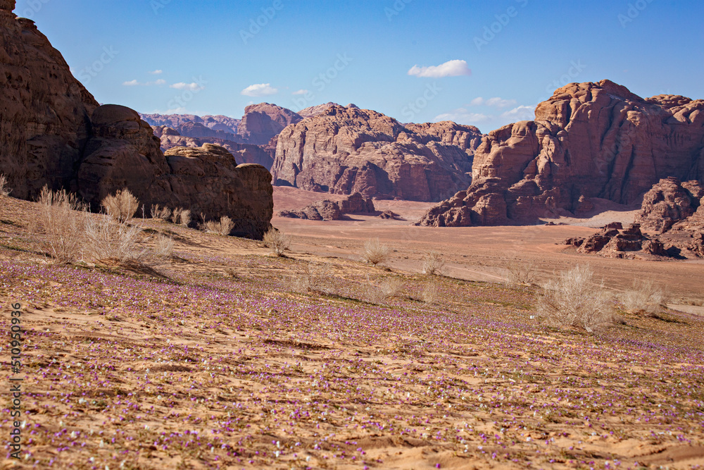 Stone formations in Wadi Rum desert. Sunny day in Wadi Rum, Jordan
