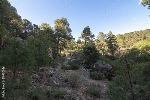Trails with wonderful views of the Sierra De Cazorla, Spain. Nature tourism concept. © mialcas