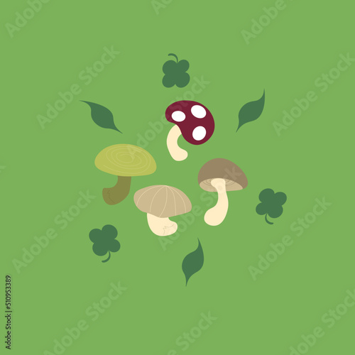 HONGOS,TREBOL,HOJAS,FONDO VERDE,HIERBAS Y HONGOS