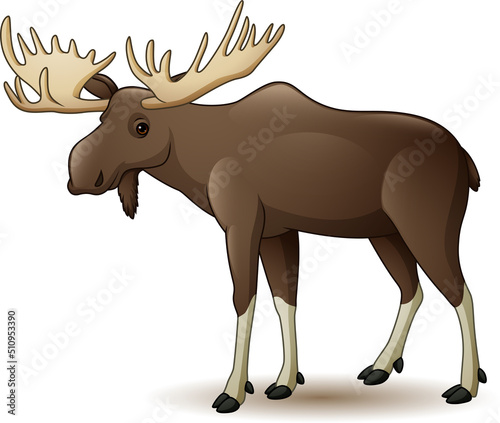 Cartoon happy moose on white background