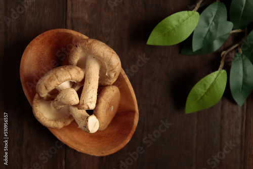 Mushroom shiitake on the table