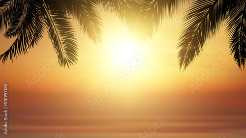 Tropical beach sunset vector illustration. Silhouette of palm leaves against a sunset ocean