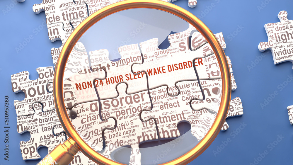 Non 24 hour sleep wake disorder as a complex and complicated topic ...