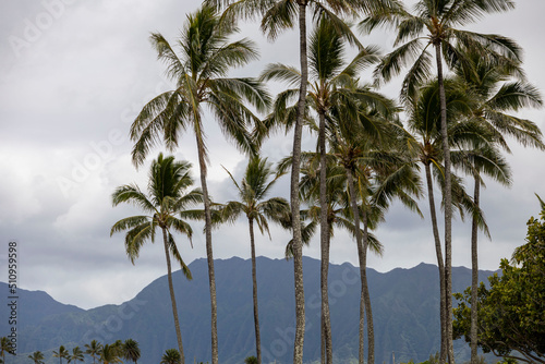 The island of Oahu in Hawaii © Lulu's Everyday Life