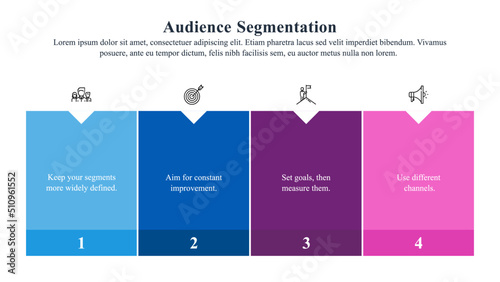 Infographic template of audience segmentation.