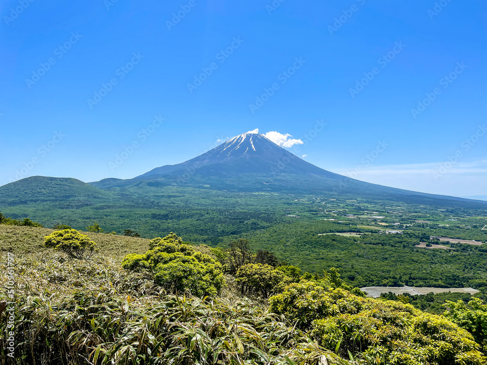 Fototapeta premium 竜ヶ岳から見る富士山