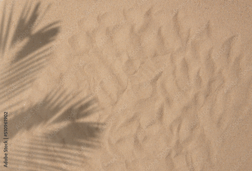 Tropical beach sand with shadows of coconut palm tree leaves - obrazy, fototapety, plakaty 