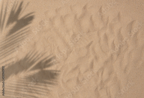 Tropical beach sand with shadows of coconut palm tree leaves