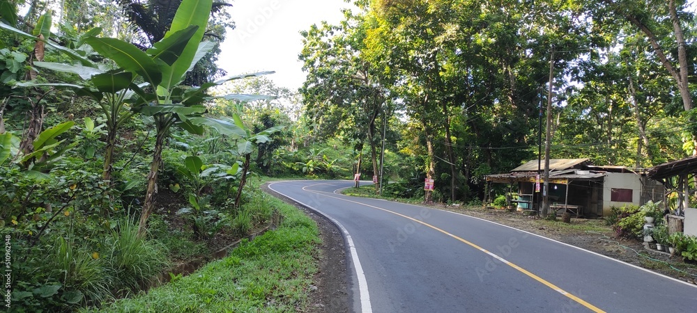 A winding and narrow highway in the Pangandaran area, Indonesia