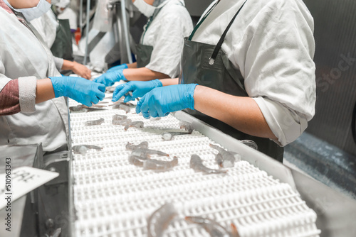 Quality control line for farmed shrimp in an industrial plant in Chinandega Nicaragua