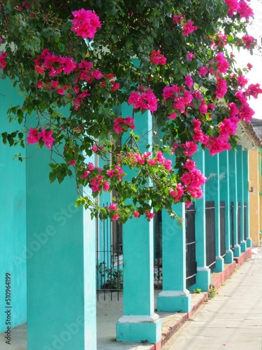 colorful colonial architecture with flowers in Tlacotalpan, veracruz, mexico